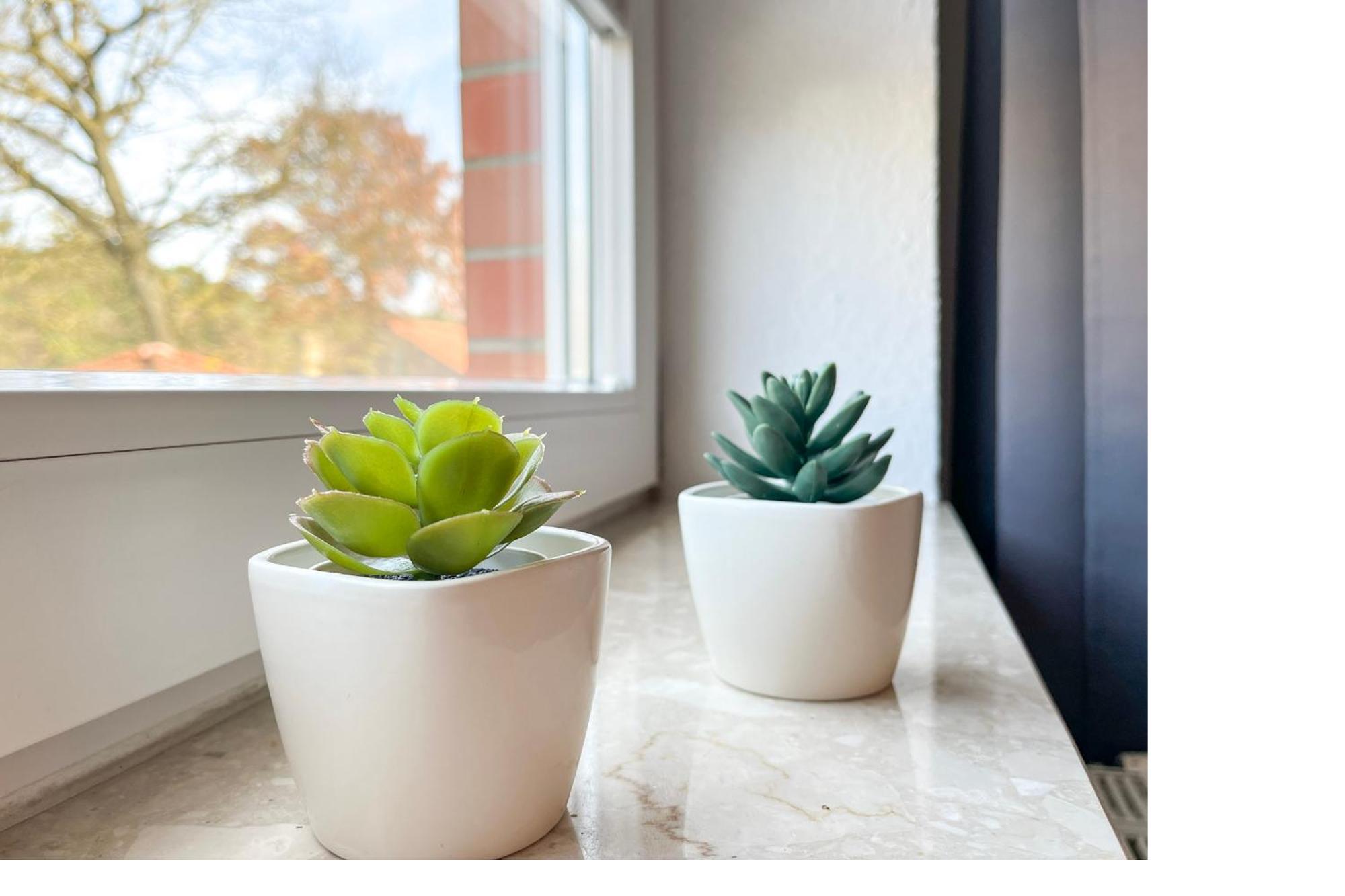 Goosbrink Wohnung 15 ボルテンハーゲン エクステリア 写真